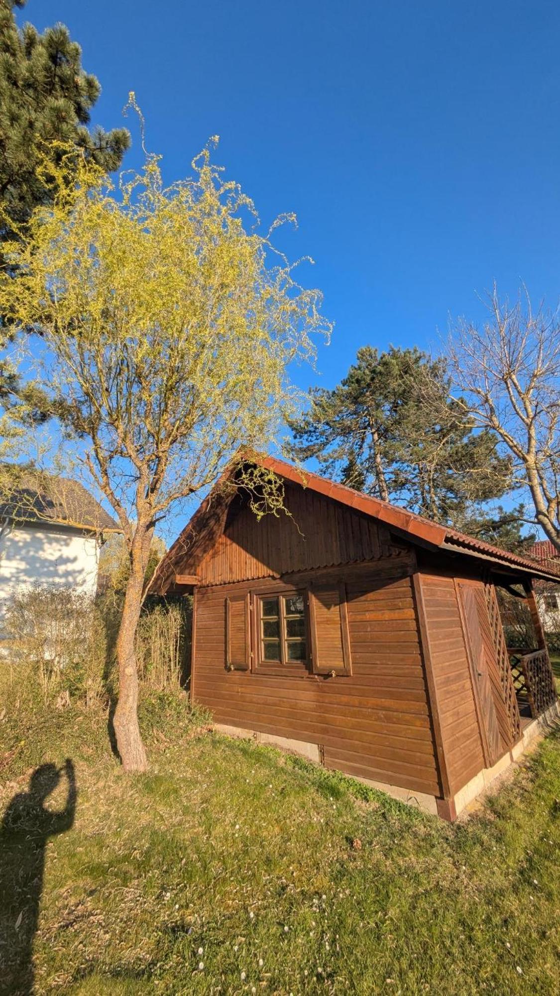 Landhotel Sonneneck - Breuna Im Naturpark Dış mekan fotoğraf